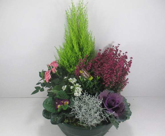 Coupe de plantes Toussaint