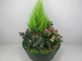 Coupe de  plantes