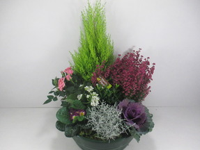 Coupe de  plantes