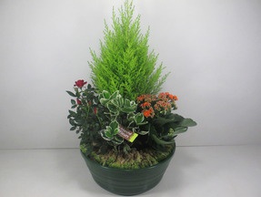 Coupe de  plantes