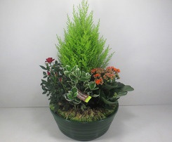 Coupe de  plantes